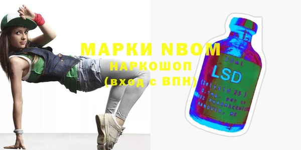 МДПВ Пересвет