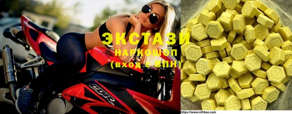 МДПВ Пересвет