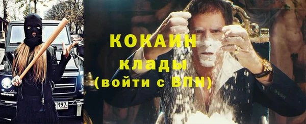 МДПВ Пересвет