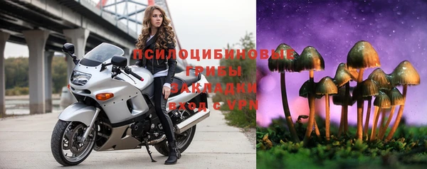 соль курить ск Лагань