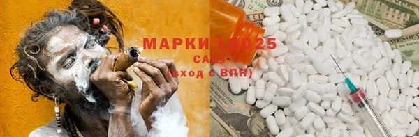 прущие грибы Михайловск