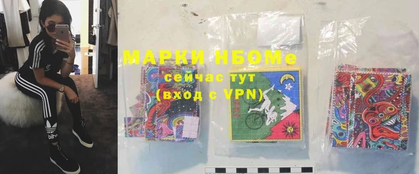 МДПВ Пересвет